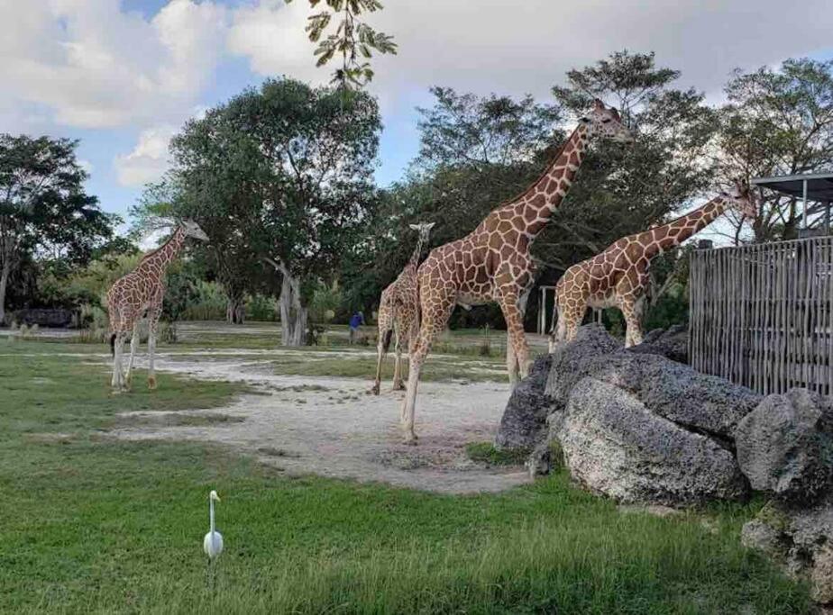 Amazing & Cozy Duplex Near Zoo Miami ! Villa Exteriör bild